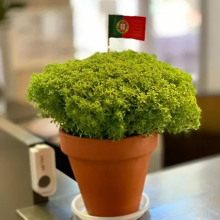 公寓 Firmeza 358 - Street Level *