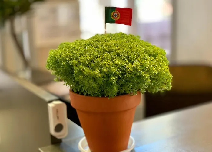 Apartmán Firmeza 358 - Street Level *